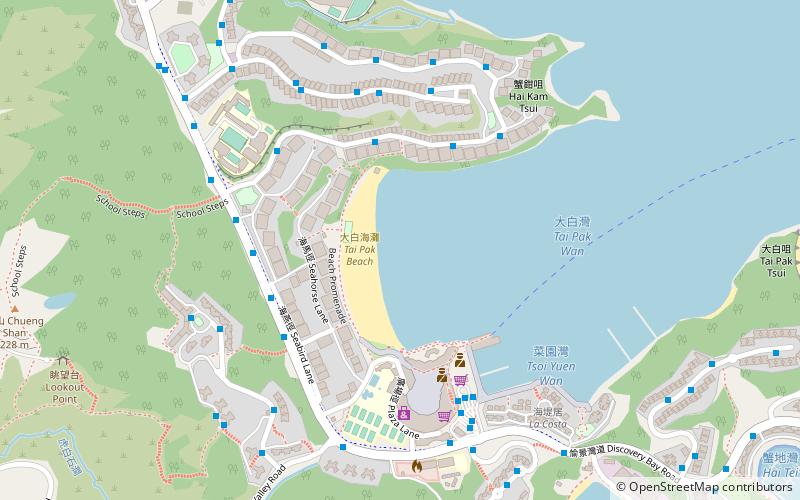 tai pak beach hong kong location map
