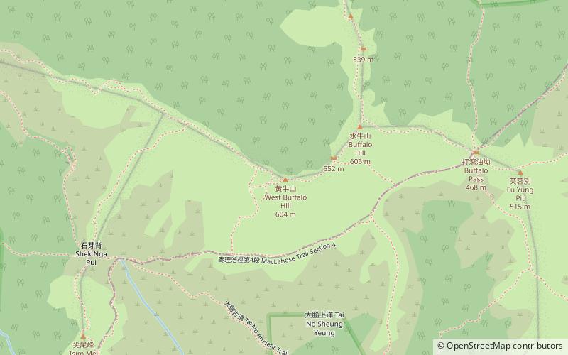 west buffalo hill hong kong location map