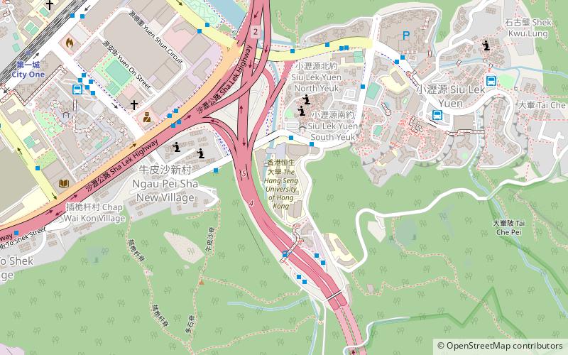 Hang Seng University of Hong Kong location map