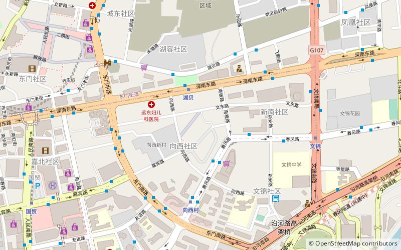 Luohu location map