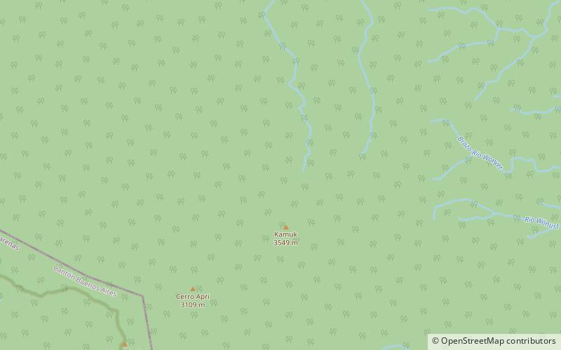 Cerro Pico Blanco location map