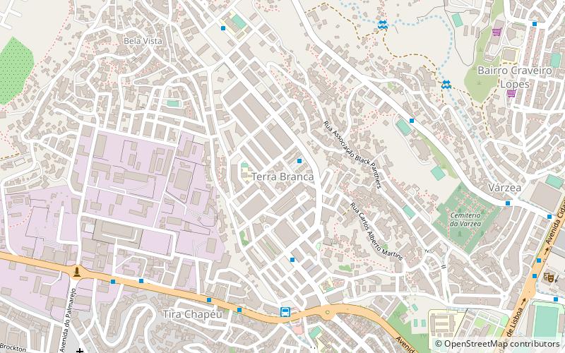 Terra Branca location map