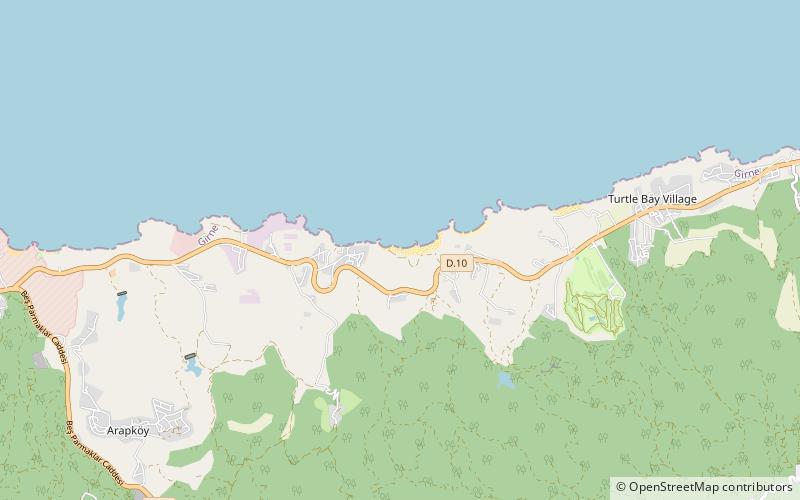 alagadi turtle beach 1 kyrenia location map