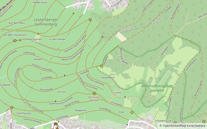 Schlacht bei Freiburg im Breisgau location map