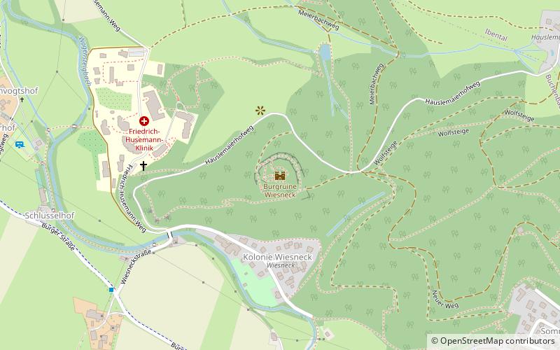 Wiesneck Castle location map