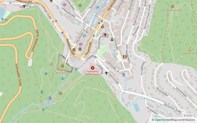 fastnacht triberg im schwarzwald location map