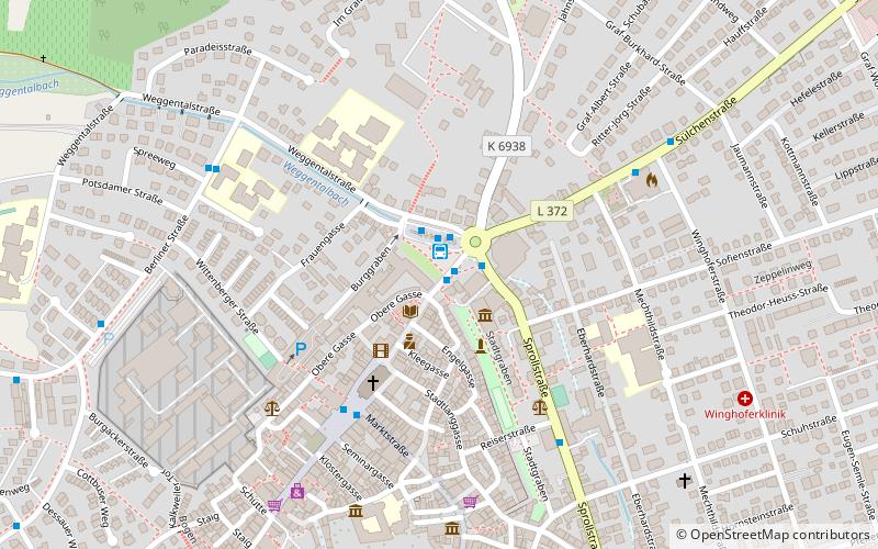 Cathédrale Saint-Martin de Rottenburg location map