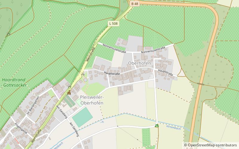 Pleisweiler-Oberhofen location map