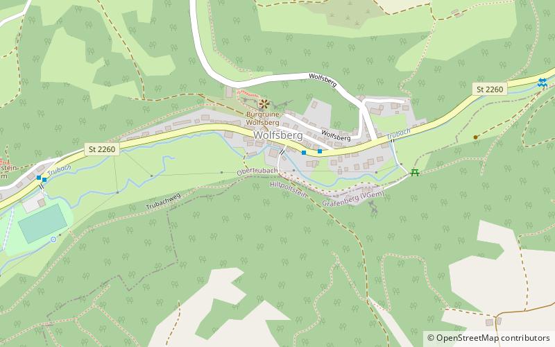 Burgruine Wolfsberg location map