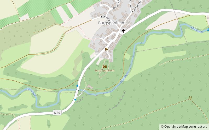 Burg Sponheim location map