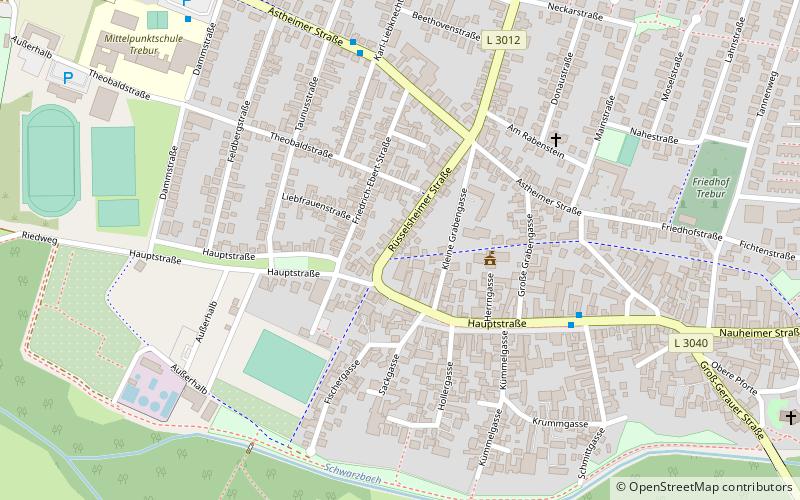 Trebur location map