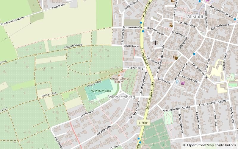 Aussichtsturm auf dem Wingertsberg location map