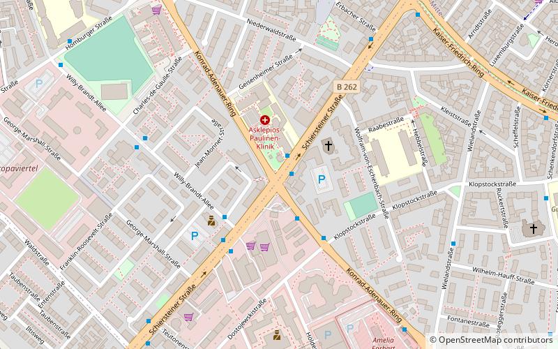 Schiersteiner Straße location map
