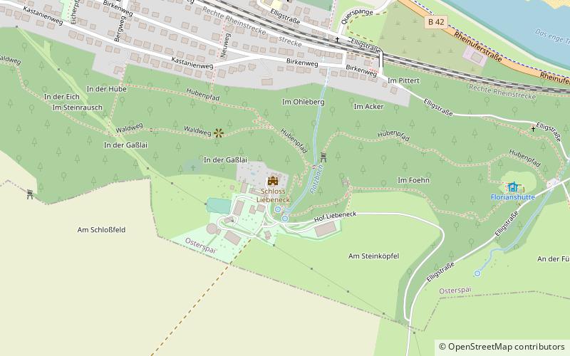 Schloss Liebeneck location map