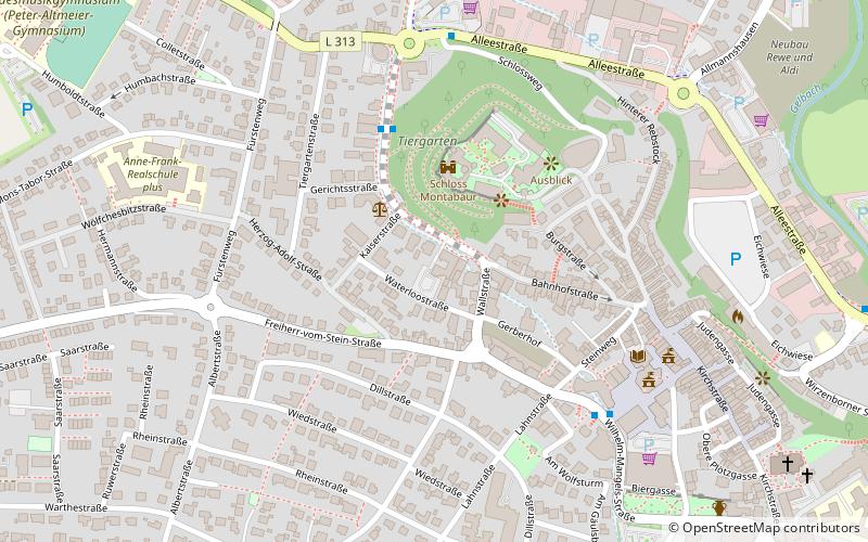 verbandsgemeinde montabaur location map