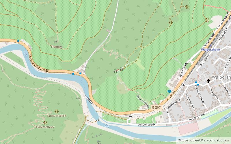 bunte kuh bad neuenahr ahrweiler location map