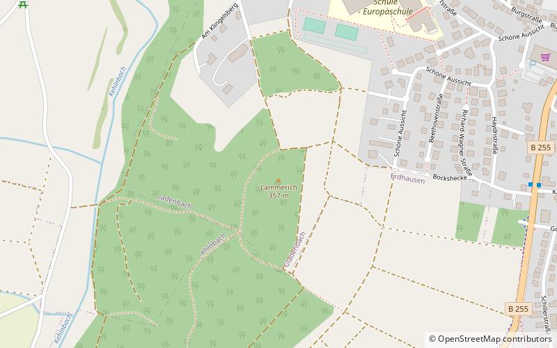 Burg Naumburg location map