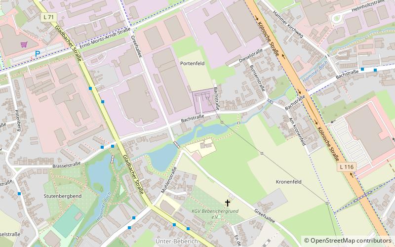 Bongartzmühle location map