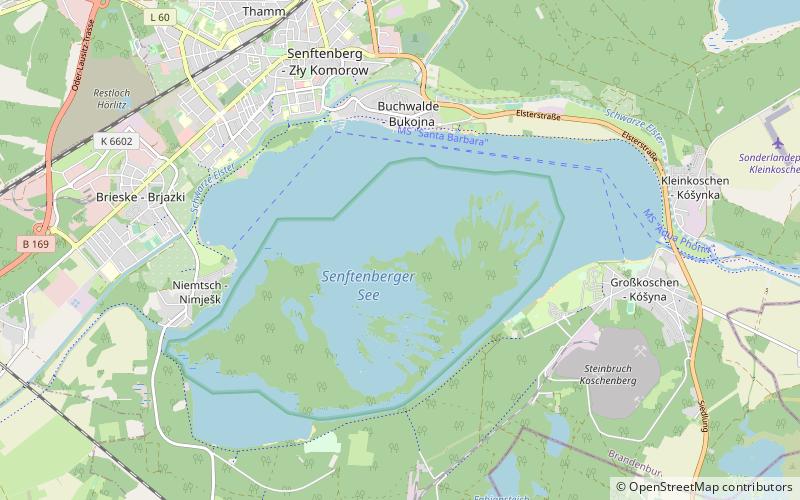 Lake Senftenberg location map