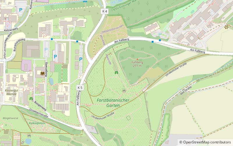 Forstbotanischer Garten und Arboretum location map