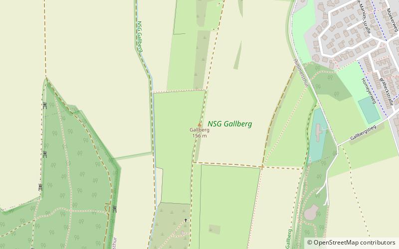 NSG Gallberg location map