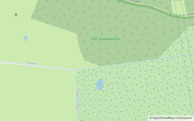 NSG Düpenwiesen location map