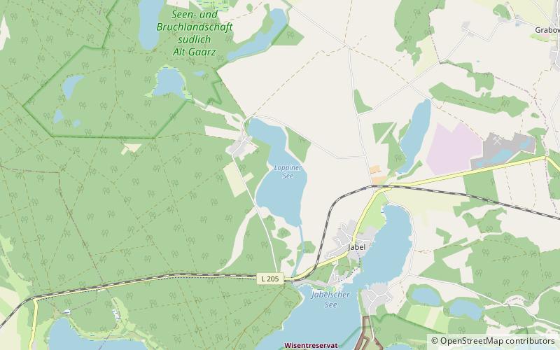 Lago Loppiner location map