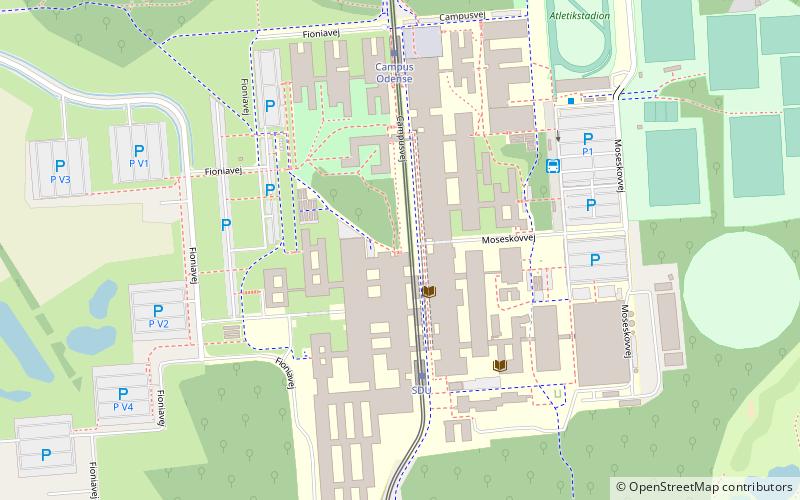 Biblioteca de la Universidad del Sur de Dinamarca location map
