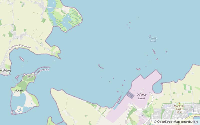 Fiordo de Odense location map