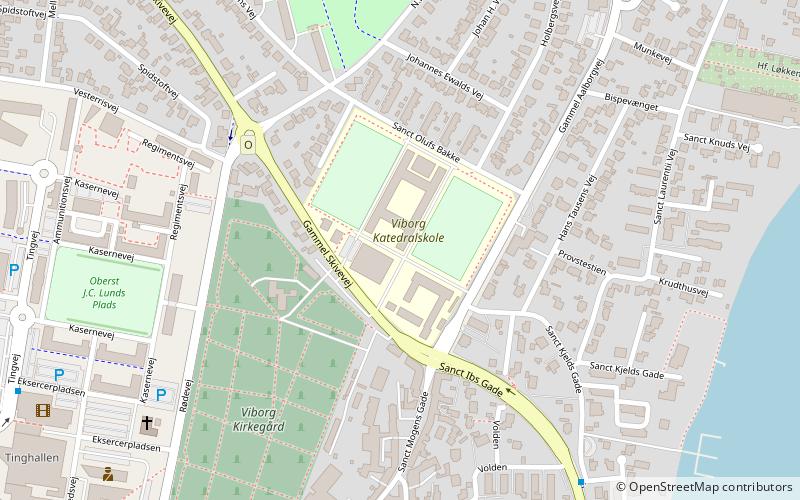 Viborg Katedralskole location map