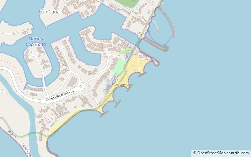 playa juanillo punta cana location map