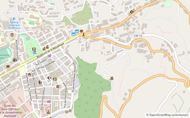 miliana district miljana location map