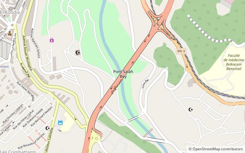 Salah Bey Viaduct location map