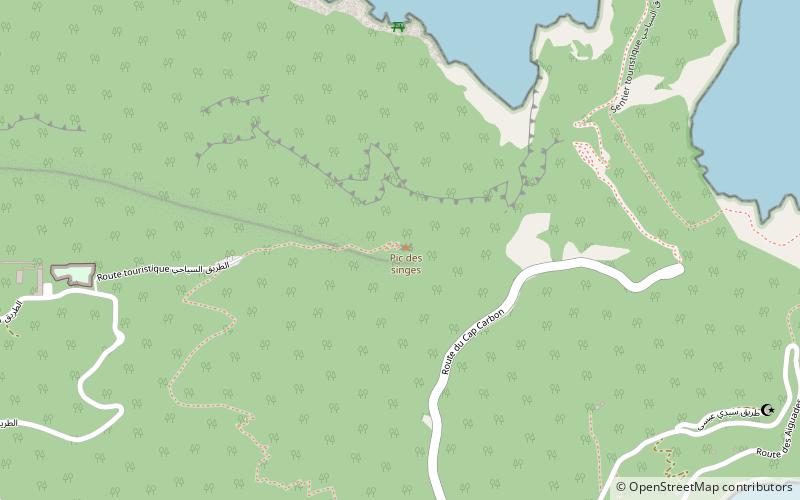 Pic des Singes location map