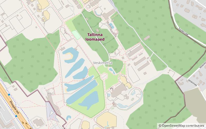 Veskimetsa location map