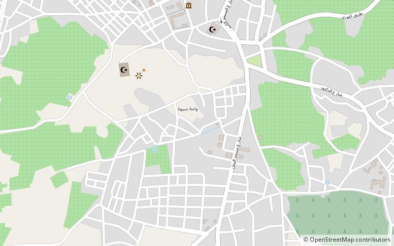 Ain Mallul location map