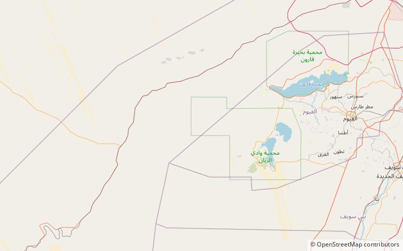 wadi al hitan wadi el rayan location map