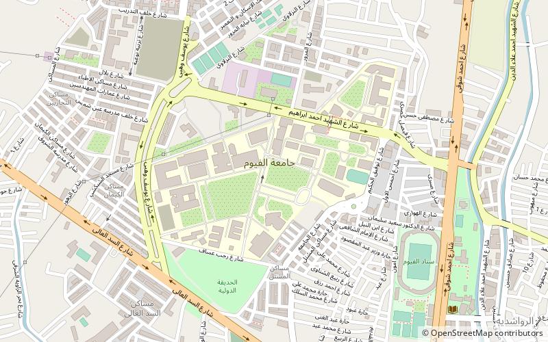 universite de fayoum medinet el fayoum location map