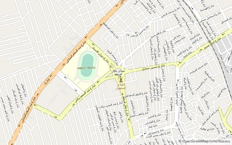 Damanhour University location map
