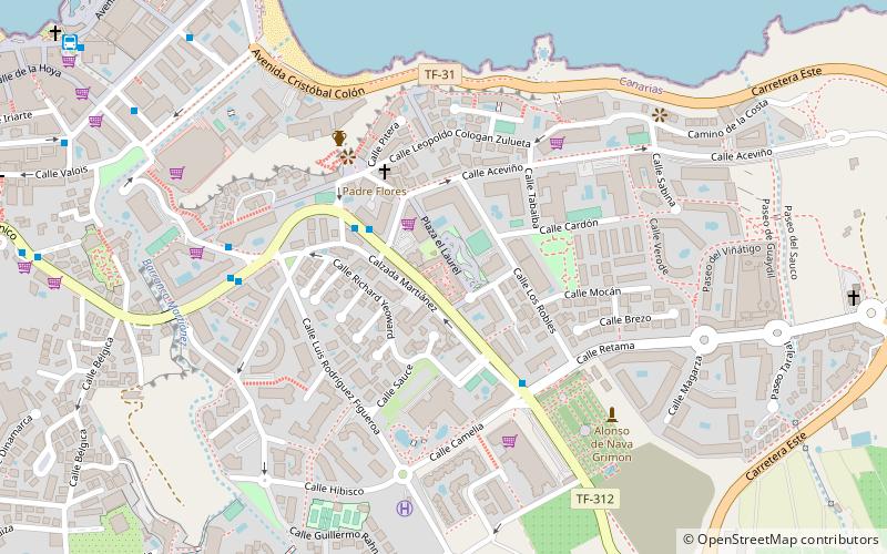 canary center puerto de la cruz location map