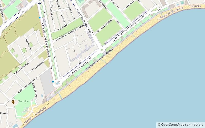 playa de san pedro marbella location map
