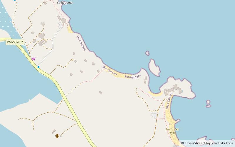 platja de ses canyes formentera location map