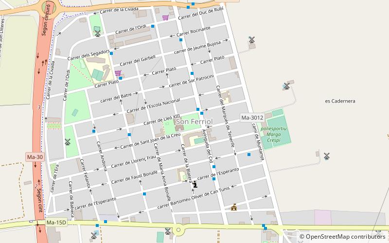 Son Ferriol location map