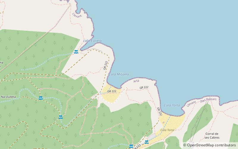 Cala Mitjana location map