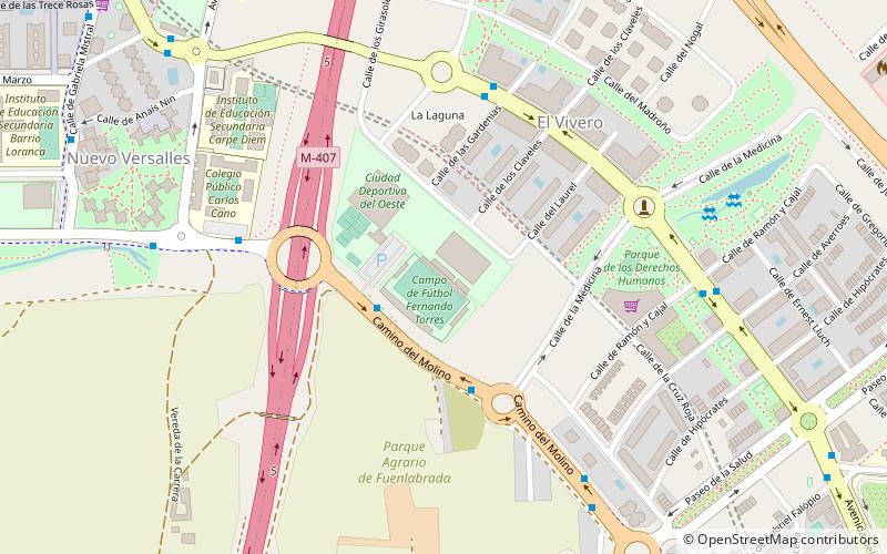 Stade Fernando-Torres location map