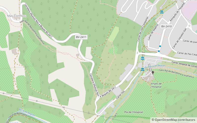 Olesa de Bonesvalls location map