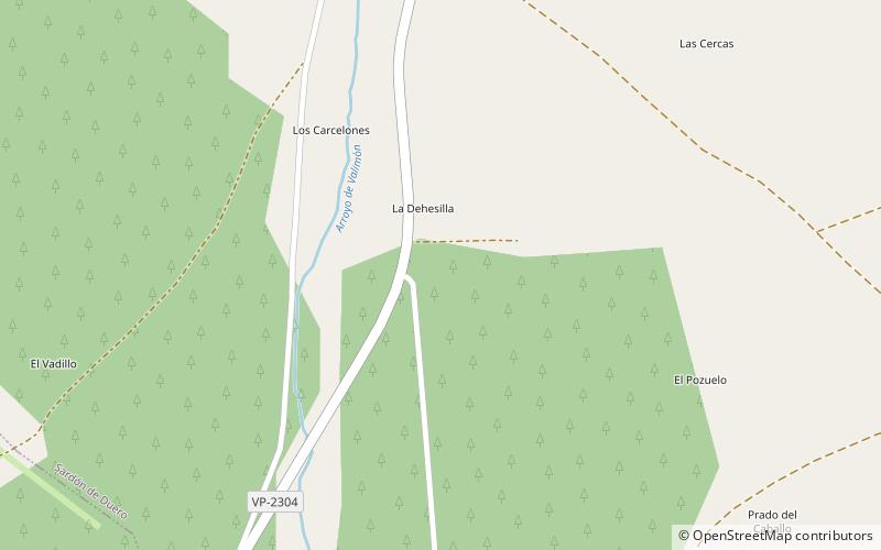 Sardón de Duero location map