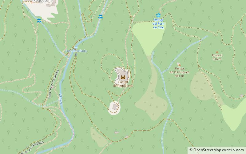Requesens Castle location map