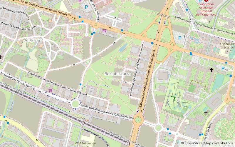 borinbizkarra vitoria location map