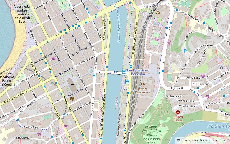 Pont María Cristina location map